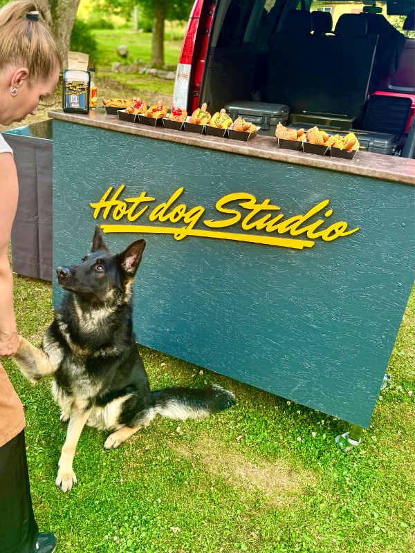 hotdog-catering-turku-hodarit